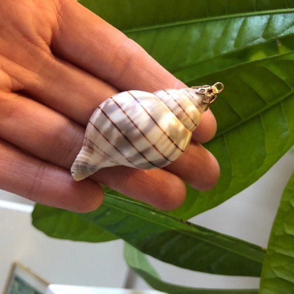 Seashell Pendant with Gold Fascinator for Necklace - Picture 1 of 5